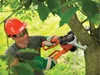 A man is using an electric pruning shear to cut a tree branch. Produktbild-Vorschau
