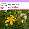 SAFLAX - bylinky Johannis - Hypericum perforatum - 300 Náhľad obrázku produktu 5