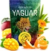 Yaguar - Thé maté Mango Tango 500 g - Un coup de fouet Voir les images du produit 2