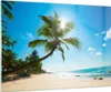 Bilder auf glas - Strand Palme Meer - 100x70cm - Glasbilder Produktbild-Vorschau 1