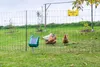 Geflügelnetz Premium, grün,25m 106cm, Doppelspitze, Produktbild-Vorschau 18