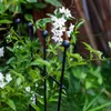 Jardin Support de plantes en métal de haute qualité pour Voir les images du produit 9
