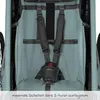 Qeridoo QUPA Plus 1 - Kinderfahrradanhänger für 1 Kind, Produktbild-Vorschau 7