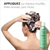 Duo Soins Cheveux Colorés - Shampooing au Thé Blanc 250ml + Voir les images du produit 4