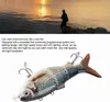 A person fishing at sunset with a close-up of a robotic fish lure. Podgląd zdjęcia produktu