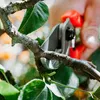 Original LÖWE 8 Standard Amboss Gartenschere mit Produktbild-Vorschau 4