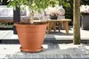elho universal planttaxi 35cm, Untersetzer, Polypropylen, Produktbild-Vorschau 2