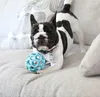JW Hol-ee Roller M (11,5 cm) Giocattolo a sfera per cani di Anteprima dell’immagine prodotto 9