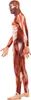Costume di Halloween a tema anatomia, taglia M Anteprima dell’immagine prodotto 3