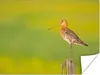 MuchoWow® Poster Vogel - Tiere - Uferschnepfe - Pfahl - Produktbild-Vorschau 1