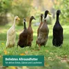 Agrarzone mangime per anatre in grani 20 kg Anteprima dell’immagine prodotto 2