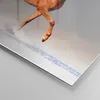 Bilder auf glas - Tiere Pferd Galopp Geschwindigkeit - Produktbild-Vorschau 5