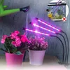 Jopassy 30W LED Pflanzenlampe Vollspektrum Dimmbar Grow Produktbild-Vorschau 6