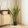 SUGIFT, plante artificielle en pot, Sansevieria Voir les images du produit 4