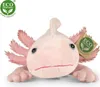 Rappa 222755 Plyšová hračka axolotl "Axel" - 33 cm Náhled obrázku produktu 1