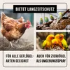 AniForte Milbenspray Hühner & Geflügel 1L - gegen Milben & Produktbild-Vorschau 4