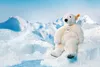 Steiff Eisbär Nanouk 33 cm stehend Kuscheltier 062605 Produktbild-Vorschau 5