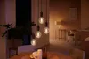 Philips LED Lampe Beleuchtung Hue Filament A60 warmweiß Produktbild-Vorschau 10