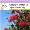 SAFLAX - Lampki czyszczące - 400 Nasiona - Callistemon Podgląd zdjęcia produktu 5