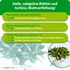 A marketing image for a plant fertilizer, showing a jade plant and text highlighting its benefits. Produktbild-Vorschau