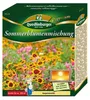 Quedlinburger Saatgut - Sommerblumenmischung - Samen - Produktbild-Vorschau 2