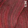 FemMas Hair Color Cream 100ml Haarfarbe Hellbraun Mahagoni Produktbild-Vorschau 1