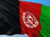 Food-United afghanische grüne Rosinen 300g im Schatten Produktbild-Vorschau 6