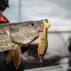 Rapala Super Shadow Rap Glide - Glidebait, Gewicht / Länge Produktbild-Vorschau 4