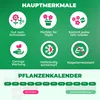 Kaiserkronen Knollen Mehrjährig - Fritillaria Imperialis Produktbild-Vorschau 8