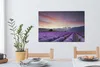 MuchoWow® - Leinwandbilder - Sonnenuntergang über Lavendel, Produktbild-Vorschau 6