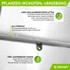 BRAST Gewächshaus Aluminium mit Fundament | 310x250x235cm | Produktbild-Vorschau 2