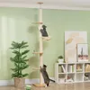 Drapak PawHut, wysoki drapak dla kotów, 230–250 cm, z Podgląd zdjęcia produktu 2