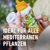 COMPO Mediterraner Pflanzendünger Spezial-Flüssigdünger 500 Produktbild-Vorschau 4