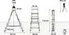 Diagram showing dimensions and weight capacity of a ladder, with a person using it. Anteprima dell’immagine prodotto