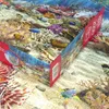 CHERRY PAZZI Puzzle Korallenriff-Paradies 2000 Teile Produktbild-Vorschau 4