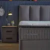 BIRDY  Bett Grau Boxspringbett mit Matratze 160x200 Produktbild-Vorschau 2