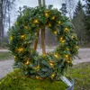 LED Lichterkette ,Dew Drop Micro, outdoor, warmweiß, 36m, Produktbild-Vorschau 10
