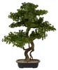 Sztuczne drzewko Bonsai POLIN, czarna ceramiczna donica, 72 Podgląd zdjęcia produktu 1