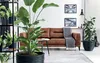 Blumentopf mit Einsatz FURU weiß 56,9 cm Produktbild-Vorschau 2
