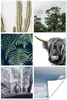 MuchoWow® Poster Schottisches Hochlandrind - Collage - Produktbild-Vorschau 1