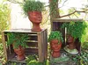 ViVA DECOR Kreativ-Set "Trenddekor "Rusty & Patina" Produktbild-Vorschau 6
