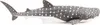 Papo Figurina Bébé Requin Baleine Voir les images du produit 4