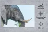 MuchoWow® Schreibtischunterlage Elefant - Tiere - Grau - Produktbild-Vorschau 2