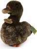 RAPPA Plsch-Ente 23 cm ECO-FRIENDLY Produktbild-Vorschau 1