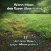 Dolomitkalk 1kg Rasenkalk Moosentferner Gartenkalk Produktbild-Vorschau 7