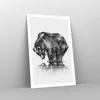 Poster - Poster ohne Rahmen - Bär Tier - 61x91,5 cm - Wand Produktbild-Vorschau 7