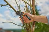 Gardena Gartenschere PremiumCut Pro Trockenes Holz Produktbild-Vorschau 5