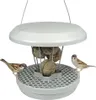 Swissinno Mangeoire pour oiseaux Lucerne gris clair Voir les images du produit 4
