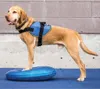 Disco di equilibrio FitPAWS per animali domestici 36 cm blu Anteprima dell’immagine prodotto 2