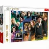 Trefl 10668 puzzle Puzzle 1000 pièces Télévision/films Voir les images du produit 5